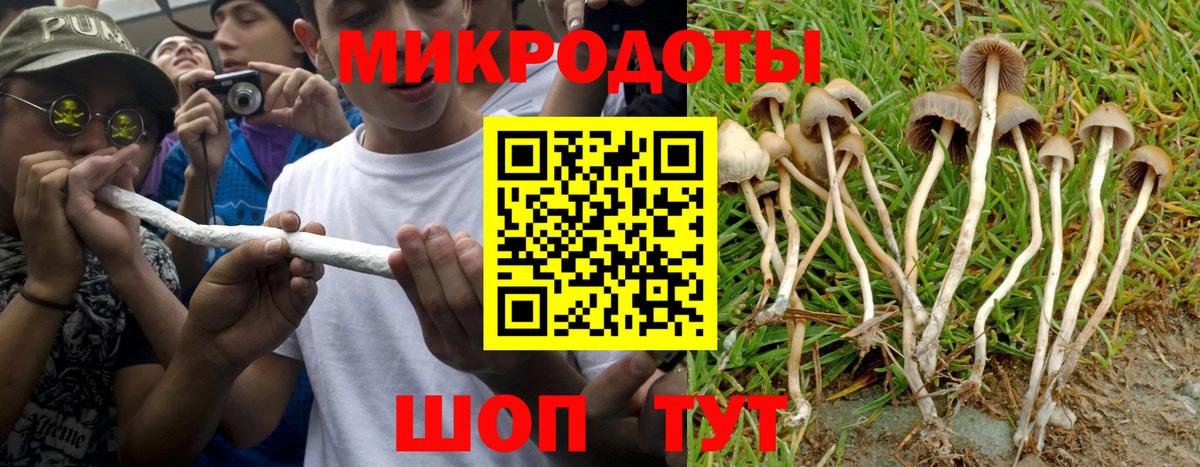 Борзя  Псилоцибиновые грибы мухоморы  Вход с VPN 