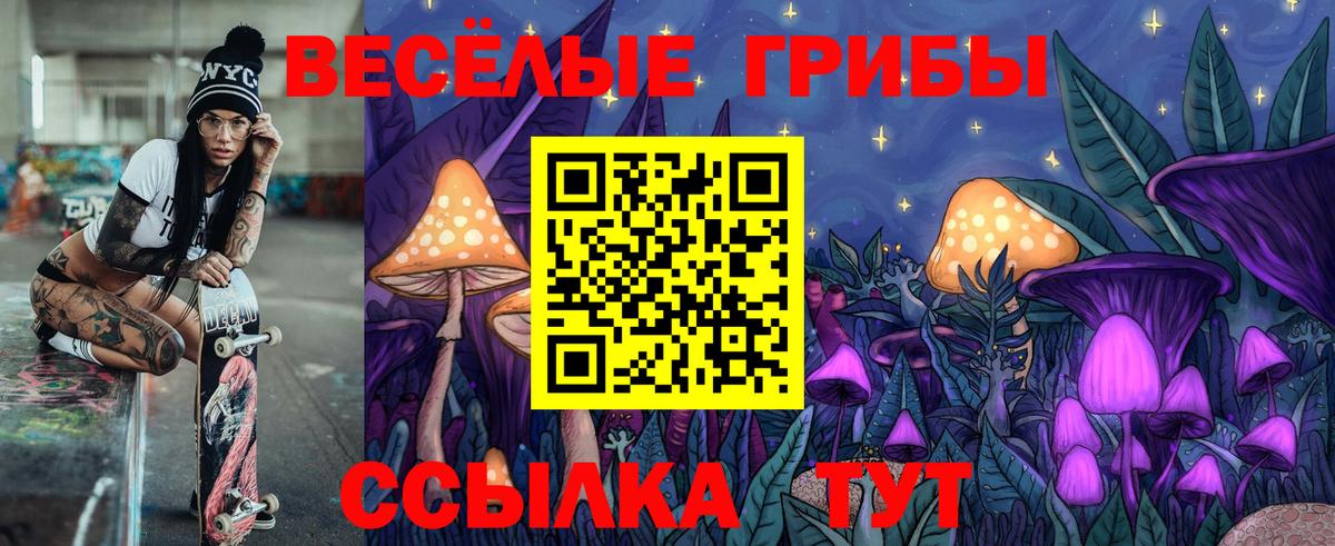 Галлюциногенные грибы прущие грибы Борзя